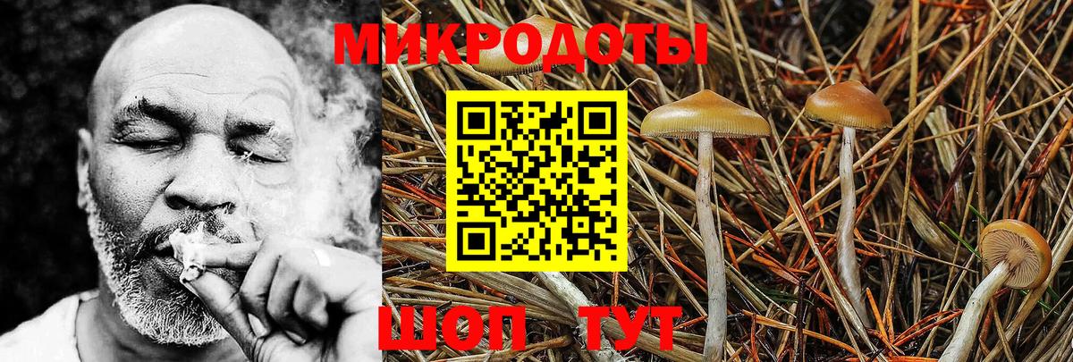 Псилоцибиновые грибы прущие грибы  Вход с VPN  Анжеро-Судженск 