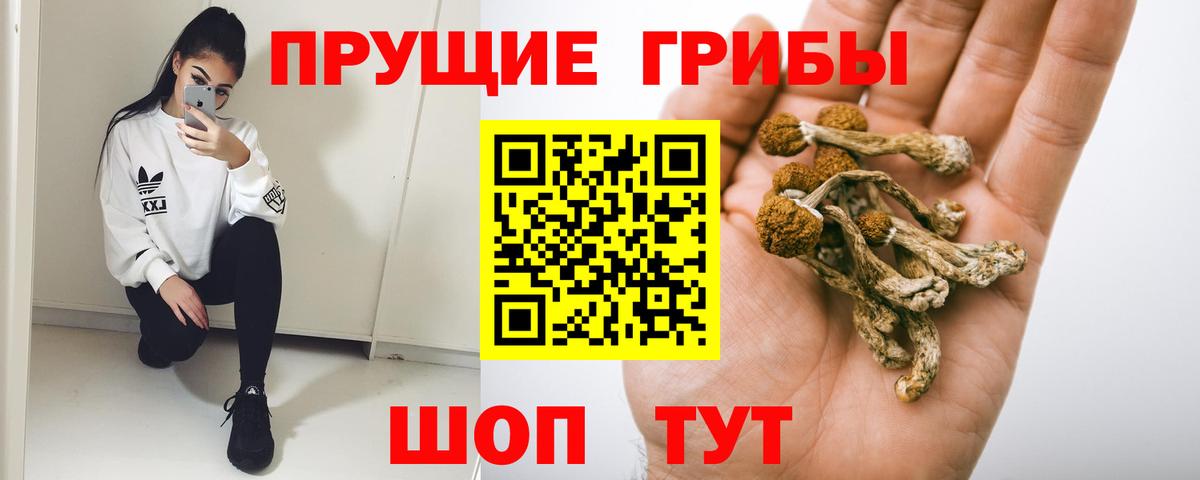 Галлюциногенные грибы ЛСД Анжеро-Судженск